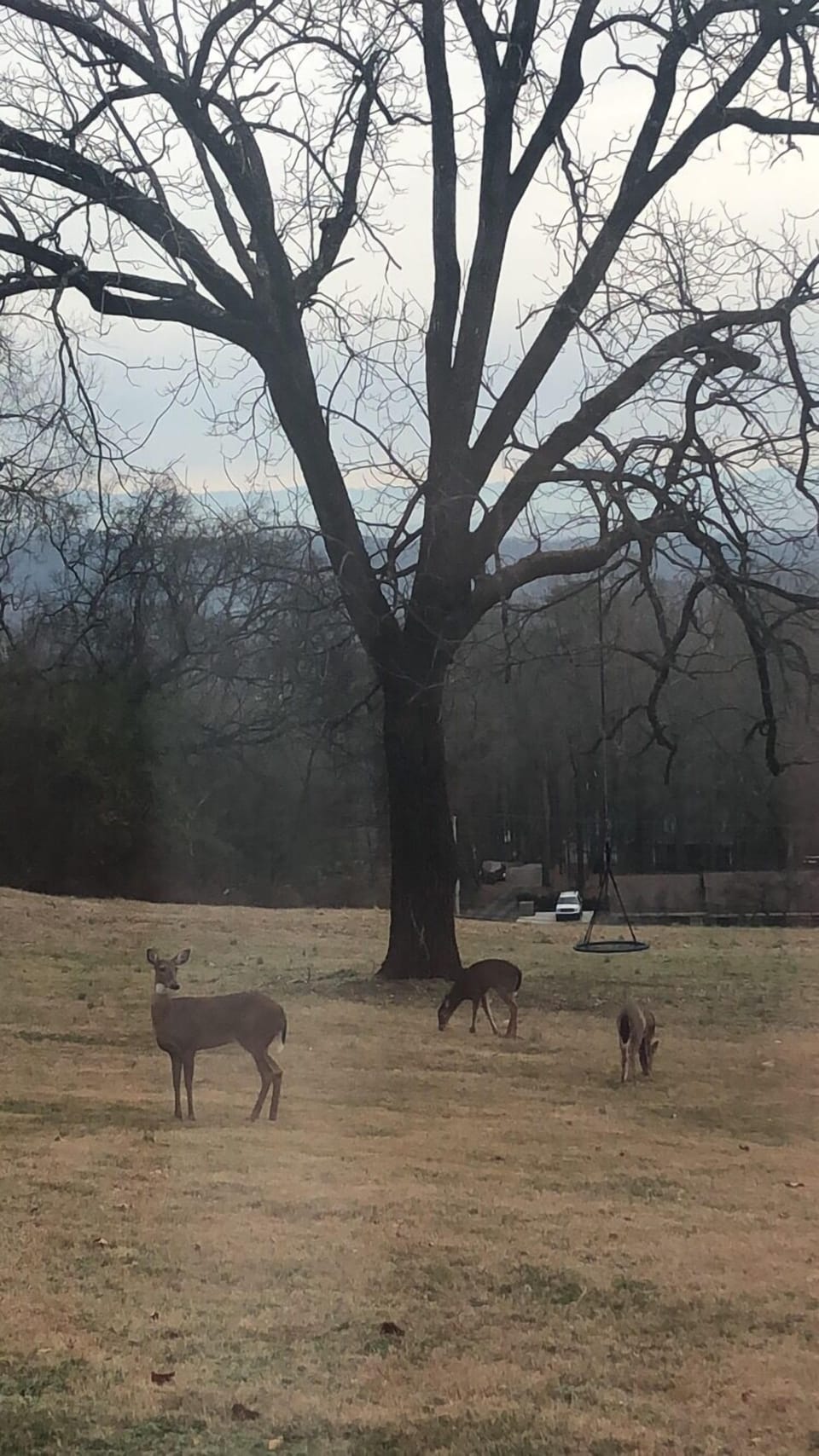 Some of our most frequent visitors!