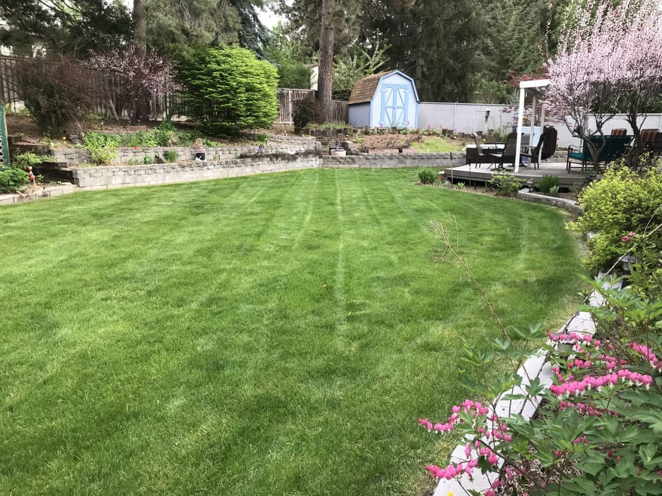 Fully fenced plus, Beautiful landscaped terraced back yard.