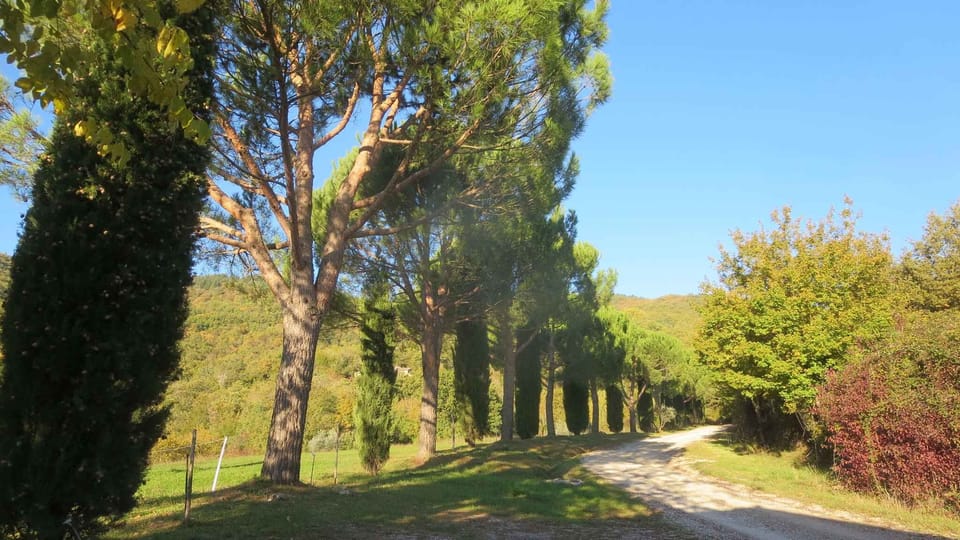 external view
