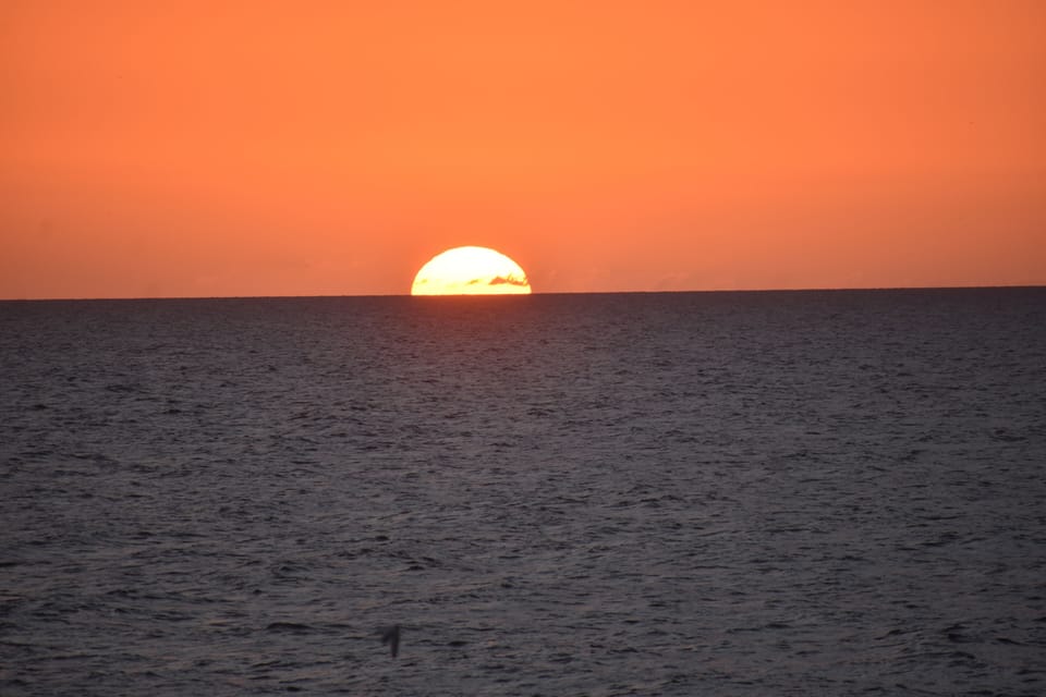 7242634f-2f4e-484a-aa8f-60e5e2e3cd65