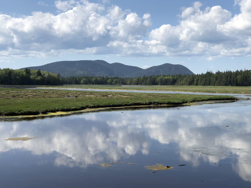 “Sleeping Elephant” on the Backside of MDI