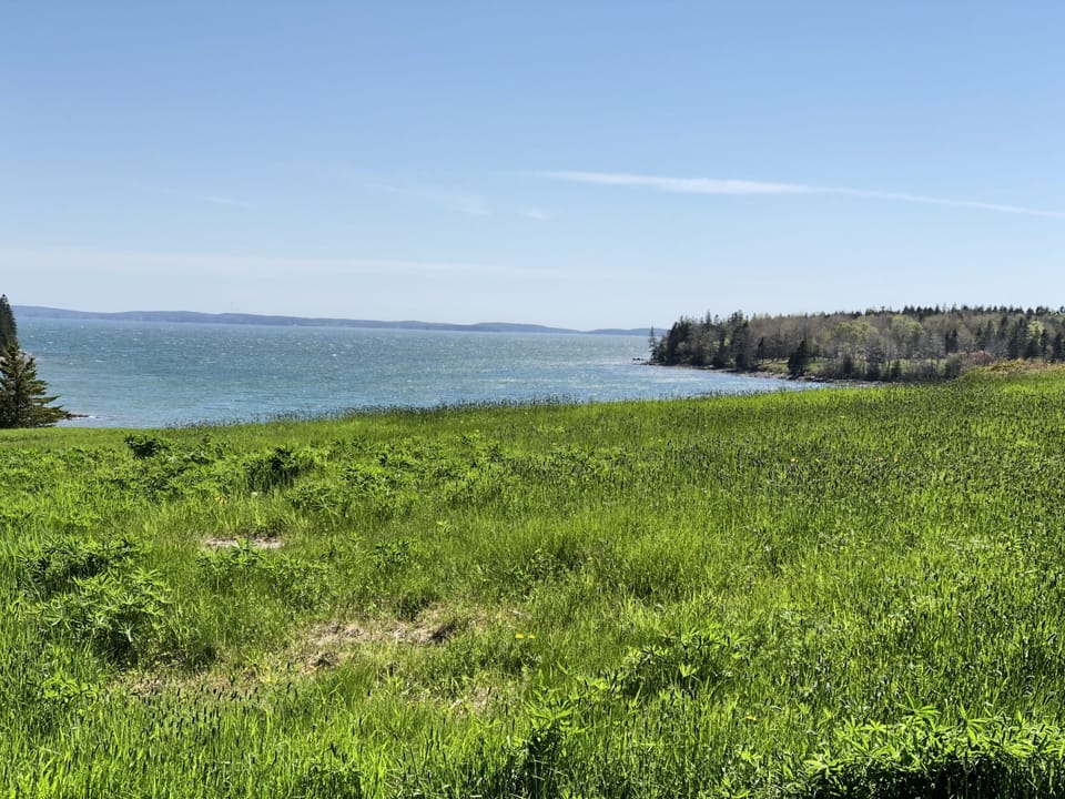Duck Cove Mount Desert Island 
Not a direct view from the house