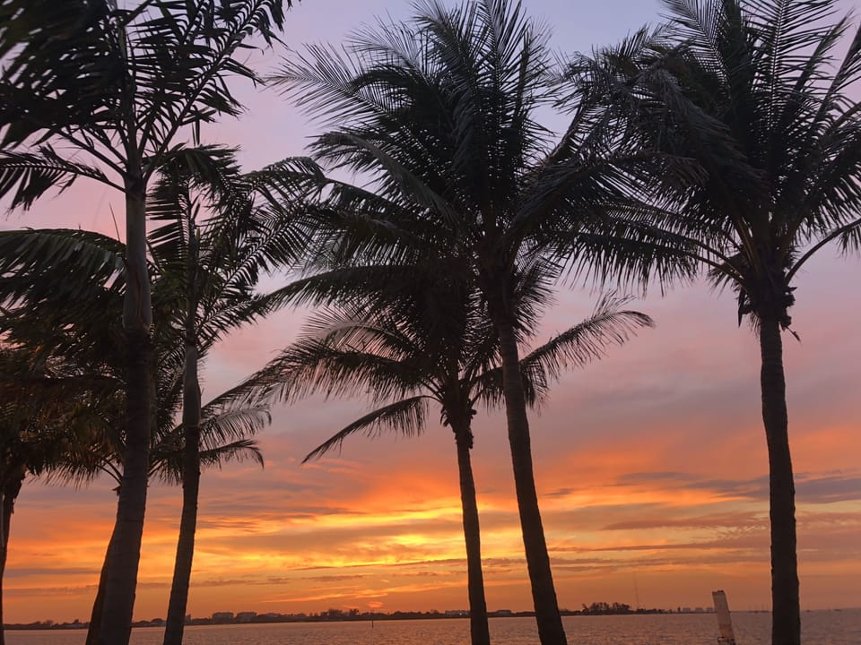 Sunset from downtown Sarasota 