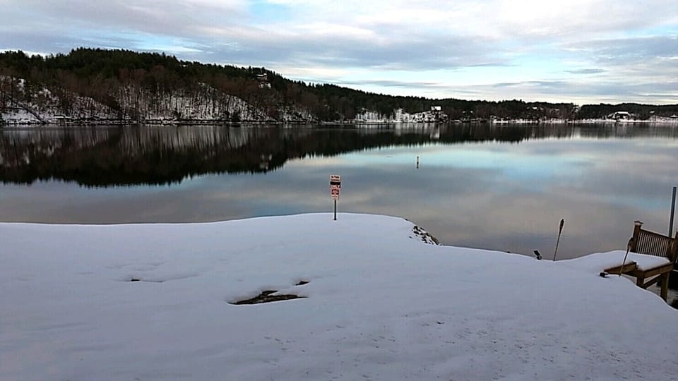 Snow Scene