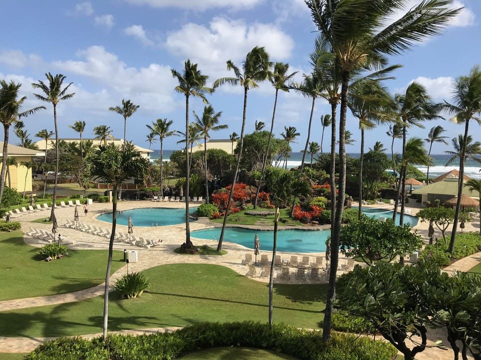 View from Lanai looking center.