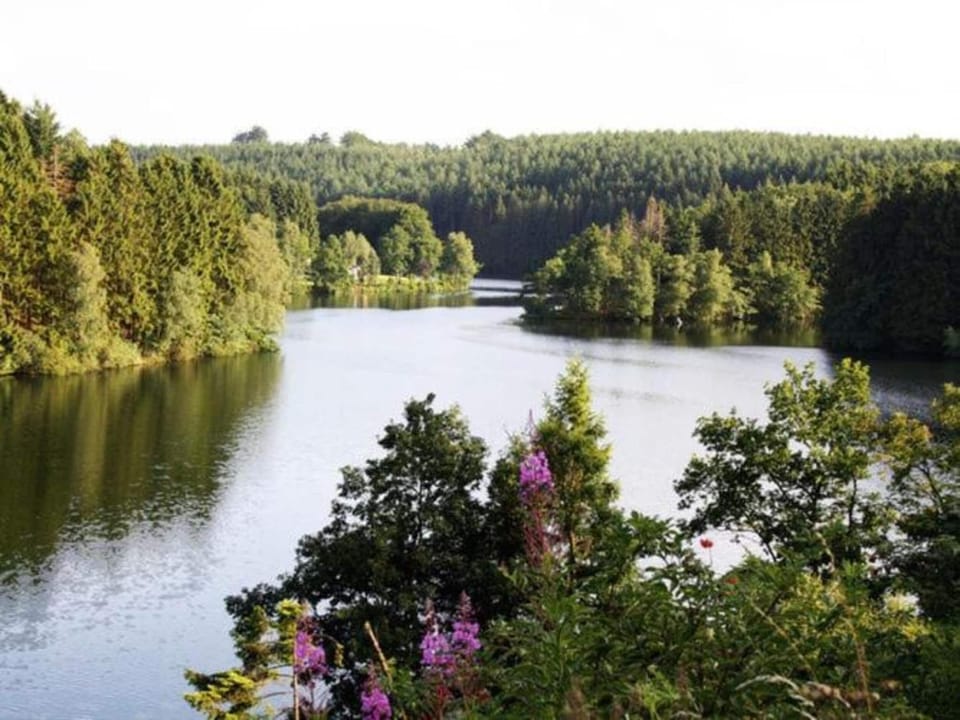 Region [summer] (>5 km)