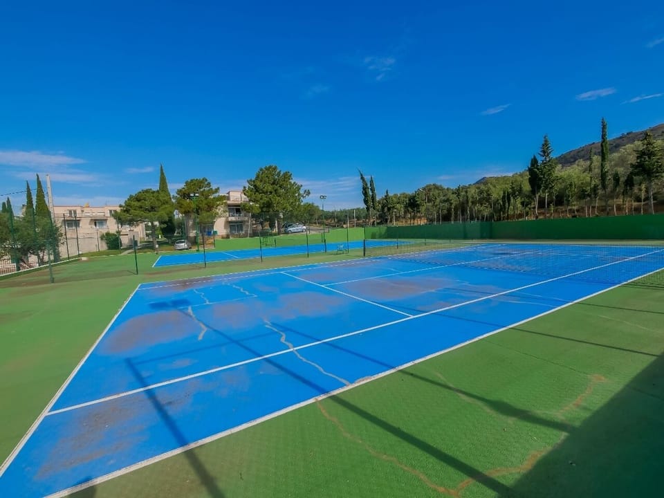 Sport court