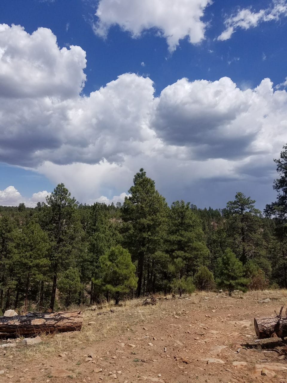 Beautiful weather and scenery