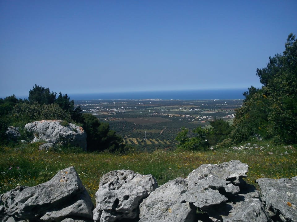 The view of the Adriatic Sea from the top of our land.