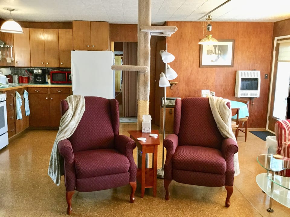 Matching Recliners