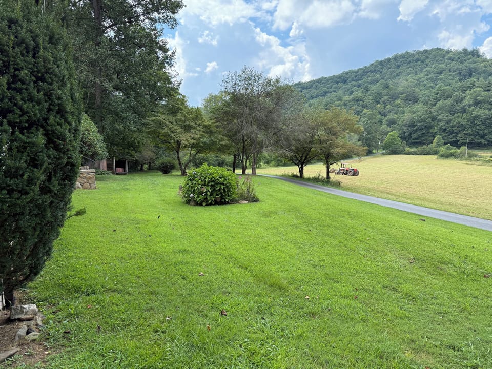 The front yard 