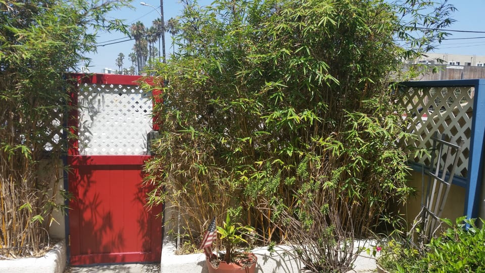 Entrance to patio 