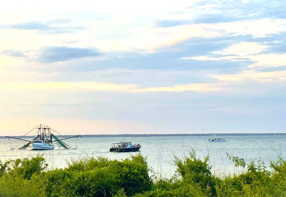 One of the many interesting scenic views from the porch Bay View Villa 109C