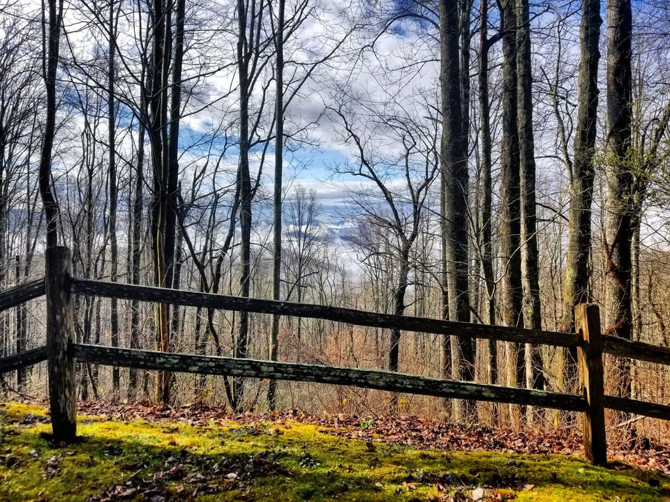 Gorgeous relaxing winter/spring views