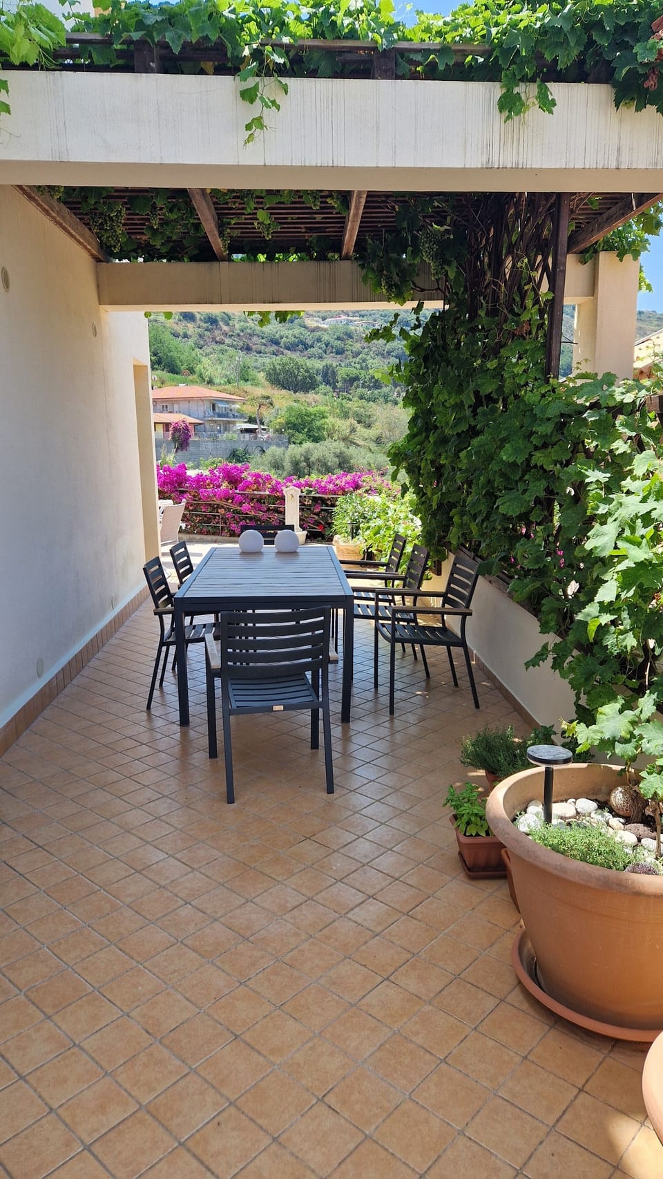 Pergola on the side,  grapes give shadow. The table can be extended 