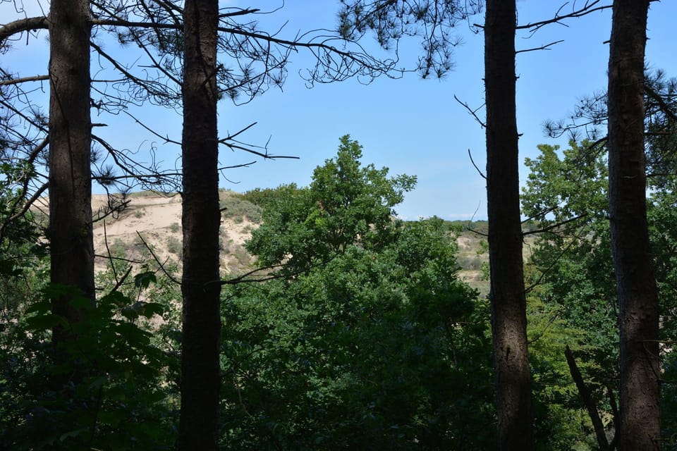Surroundings [summer] (1-5 km)