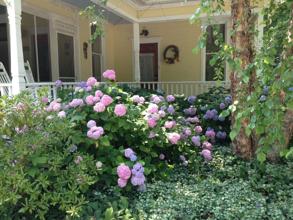 Welcome to Vintage Splendor! Your historic home into the past! 