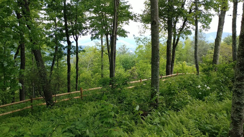 Fenced property