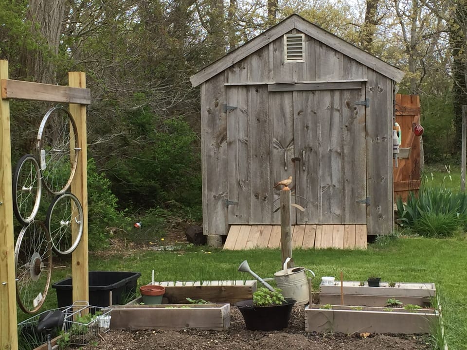 "the farm"