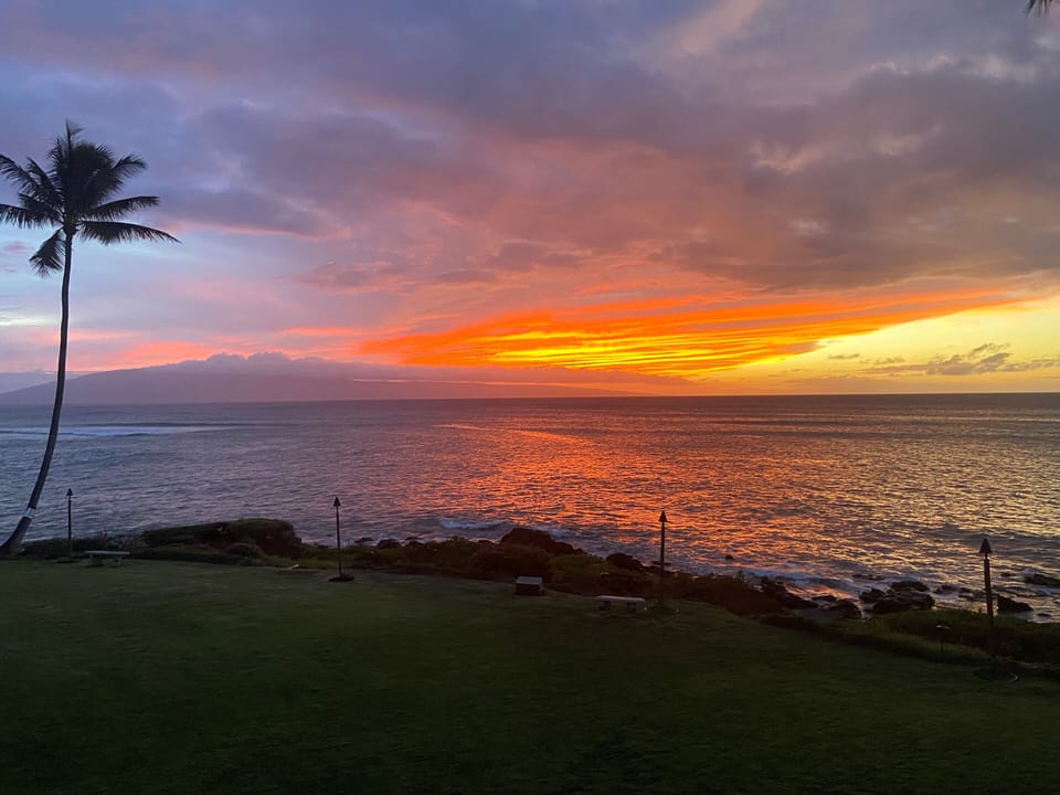 The most gorgeous sunsets!
