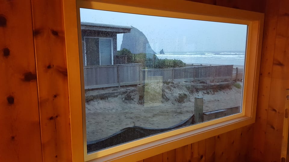 View out new window from living room