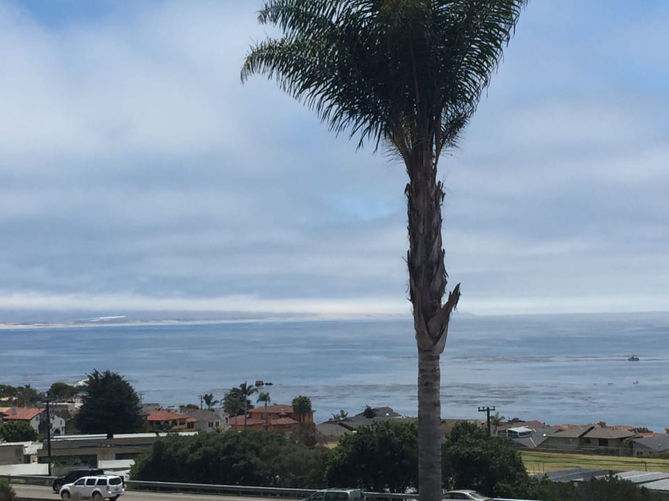 Beach/ocean view