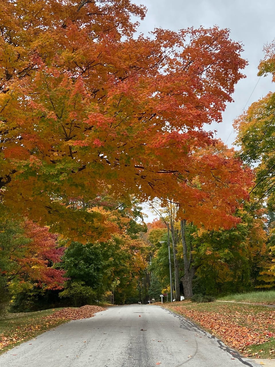 Walking the neighborhood in fall is breathtaking!
