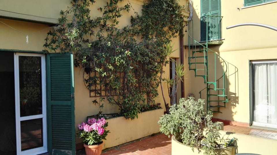 terrace