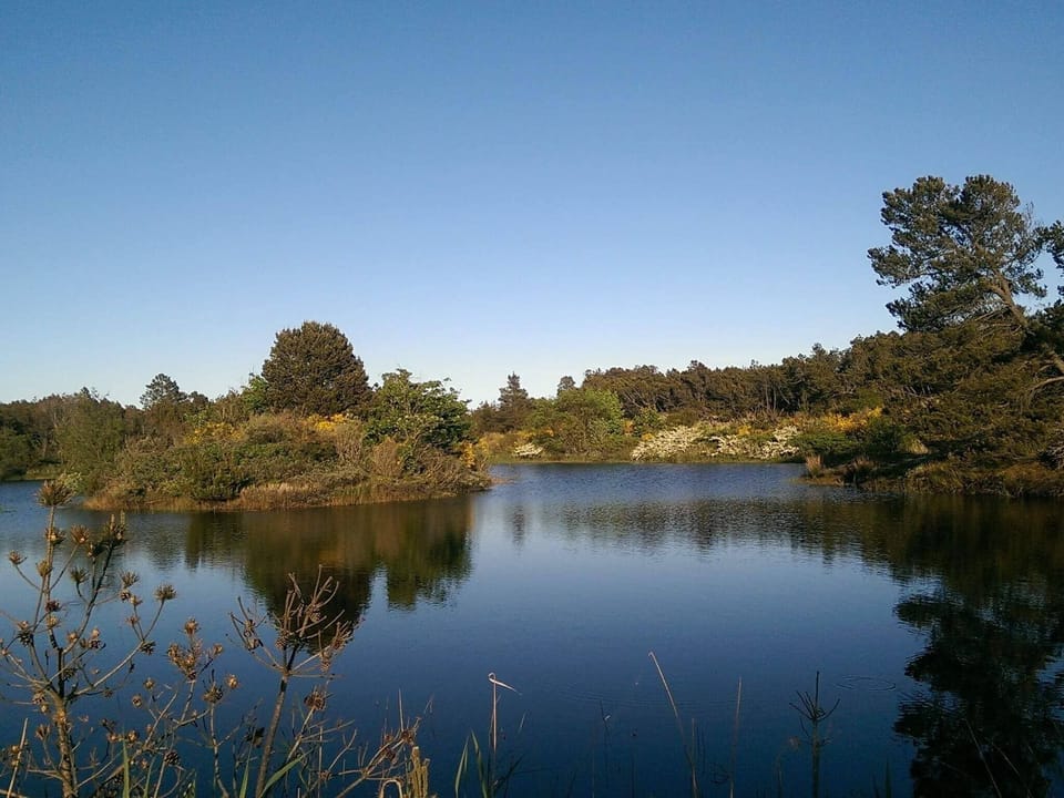 Water view