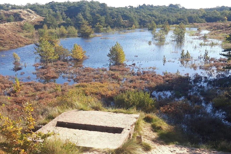 Water view