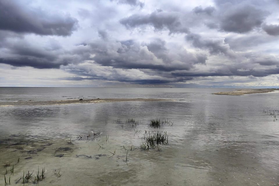 Water view