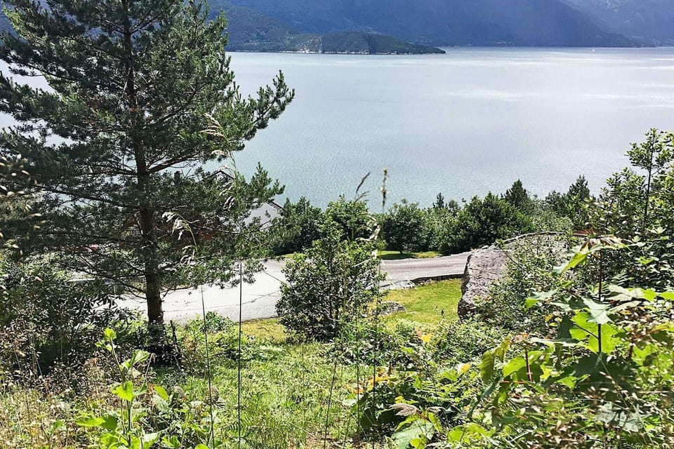 Water view