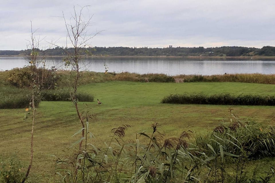 Water view