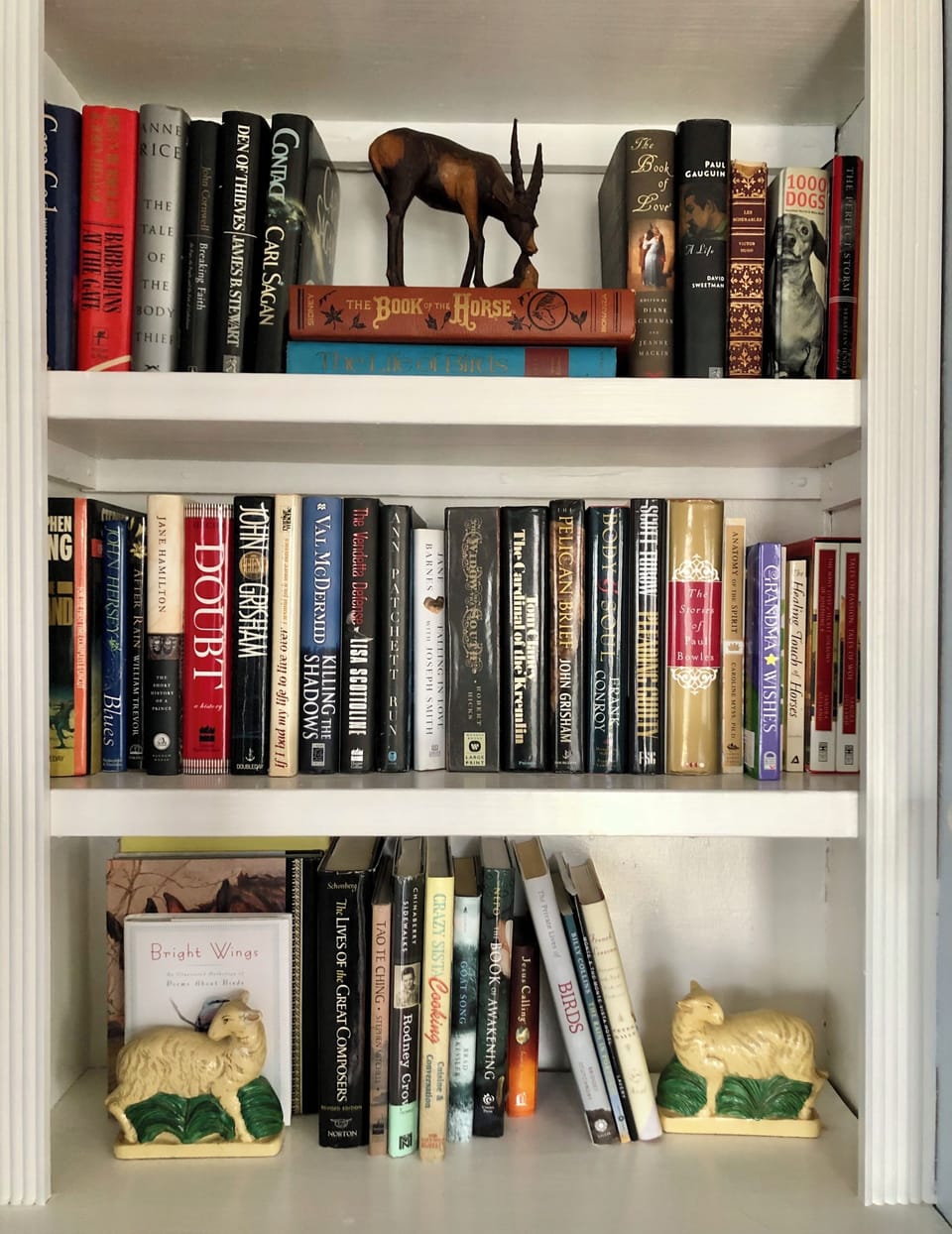 Your little local library. 