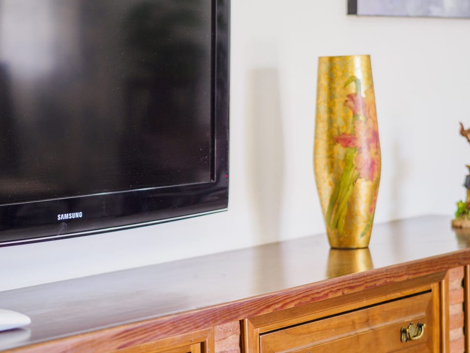 Television