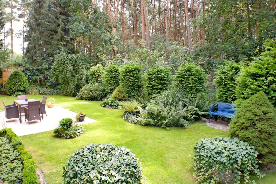Comfort apartment 4 * Haus Heidelerche - 3-room apartment Haus Heidelerche Apartment in Lower Saxony, Germany