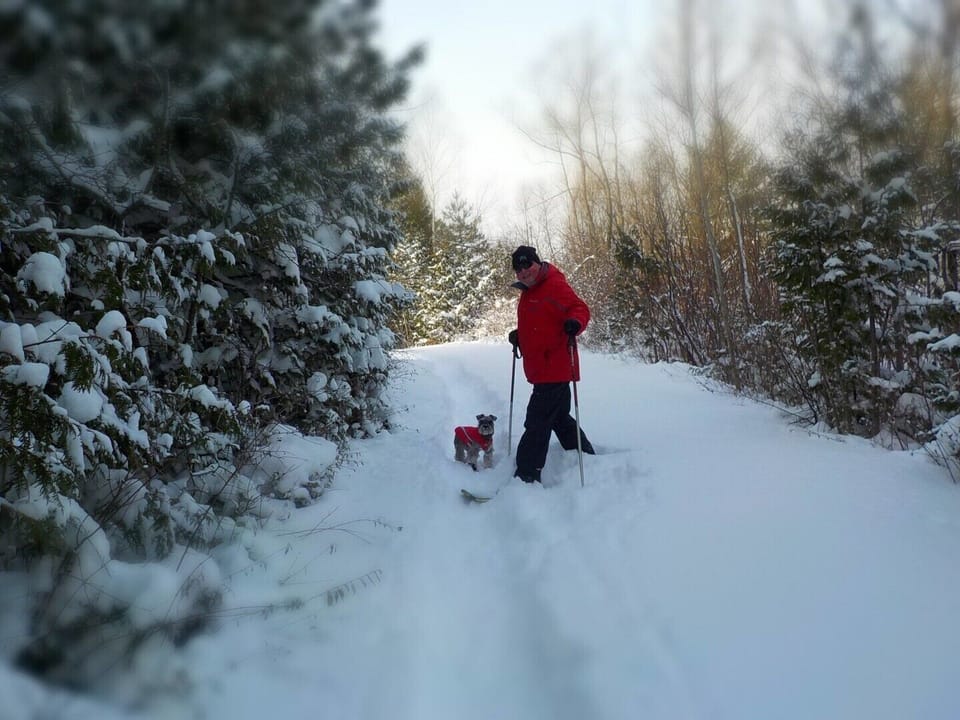 great snow in winter on hiking trails