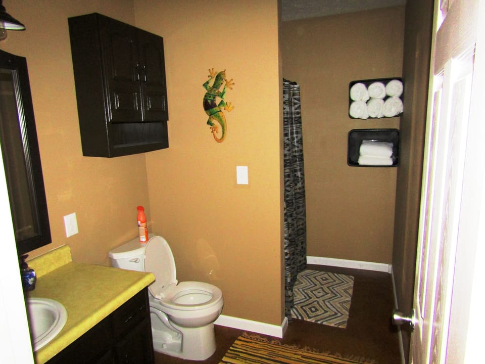 Large Bathroom