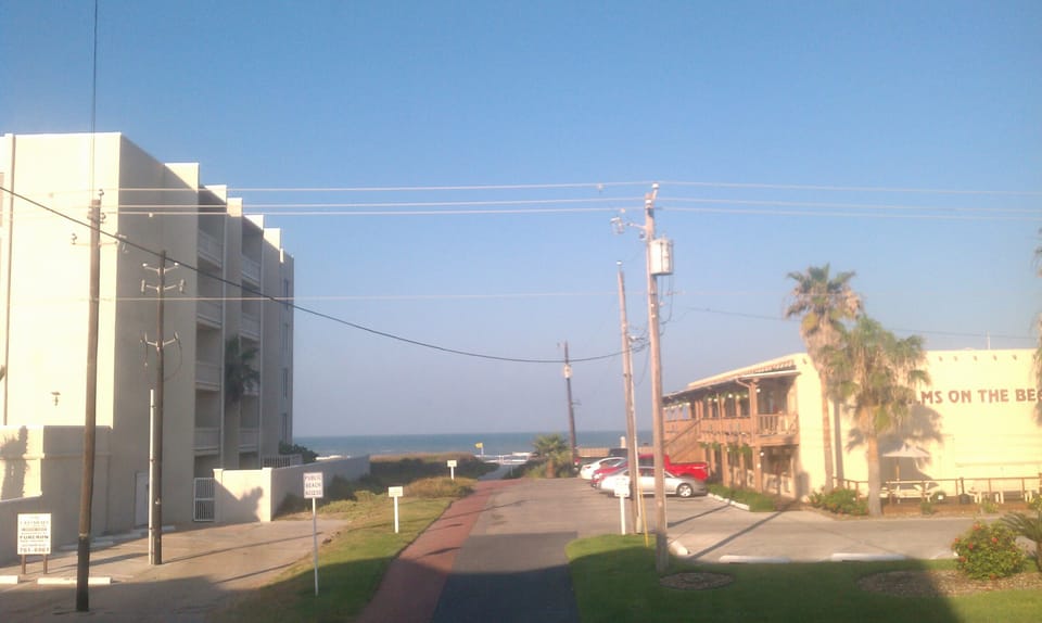 view