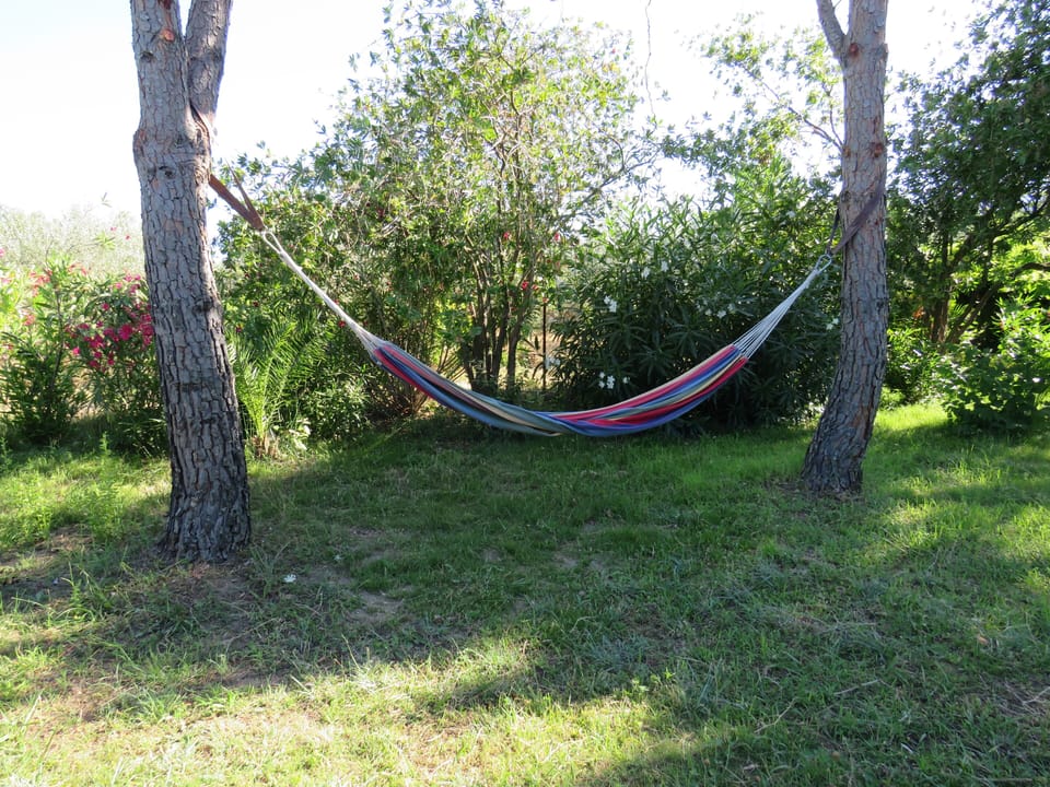 hammock