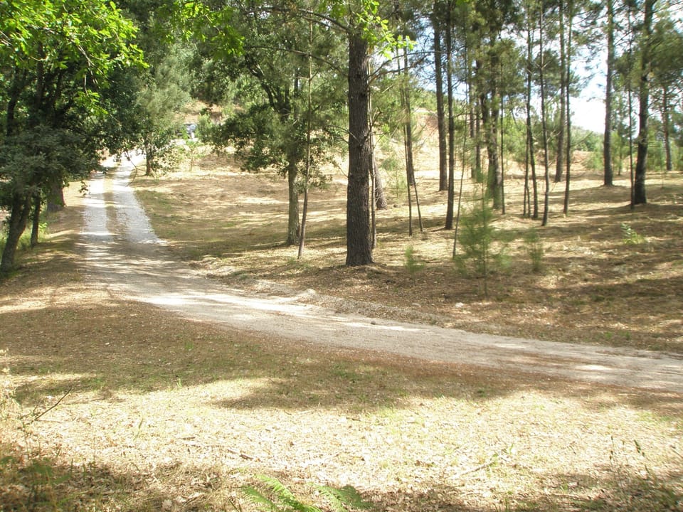 ACESSO POENTE PARA A CASA