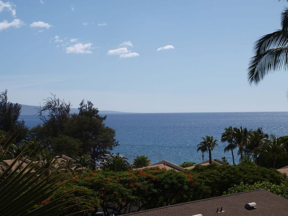 Partial Ocean Views