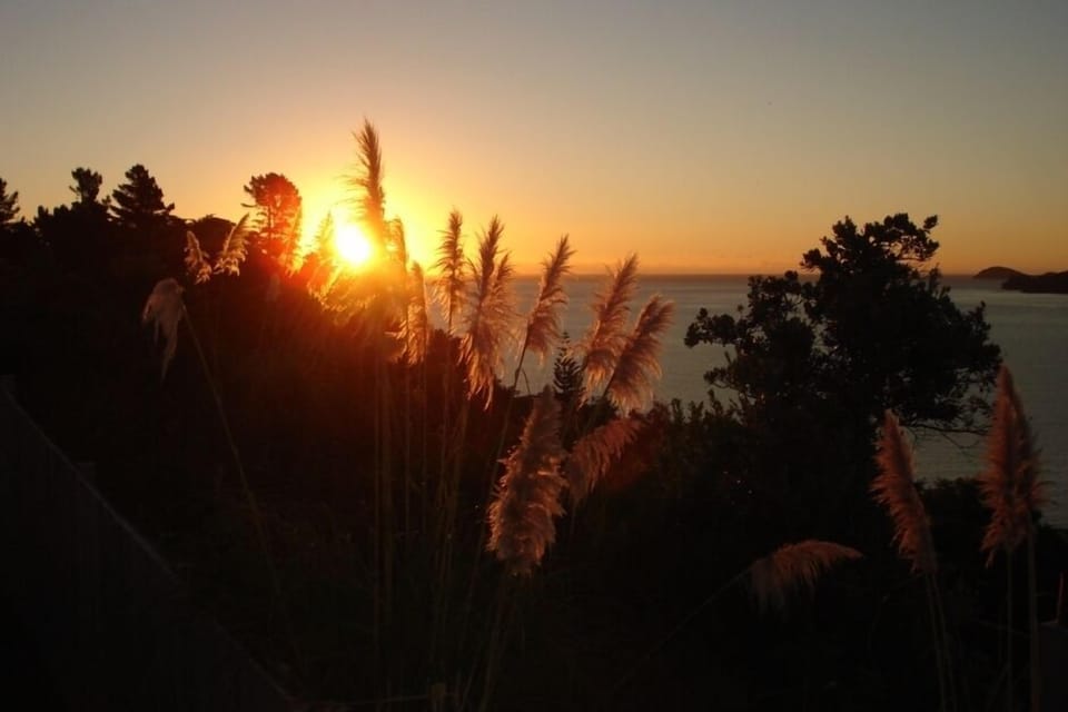 wintertime sunset