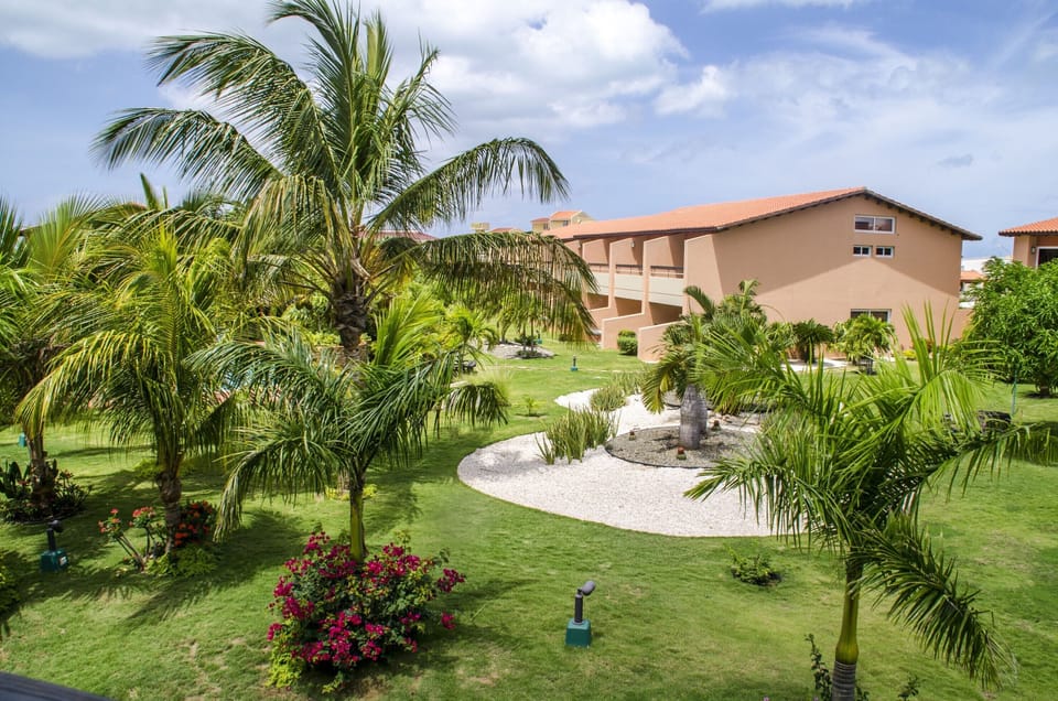 The main garden and part of the common area