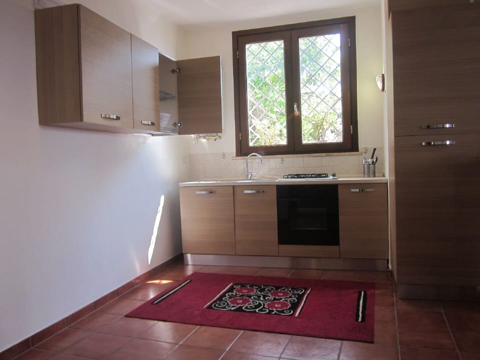 the kitchen: oven, dishwasher, fridge and refrigerator