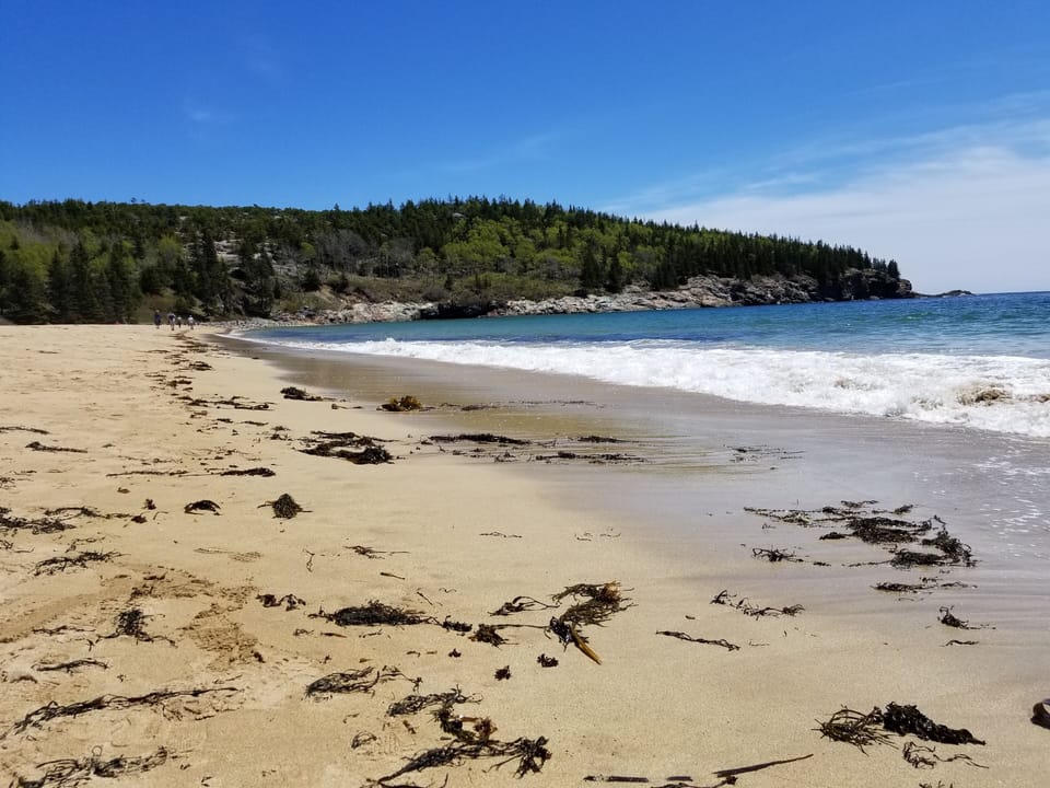sand beach Acadia National Park