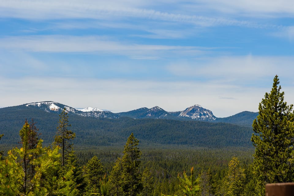 BBQ with 4 burners and side burner