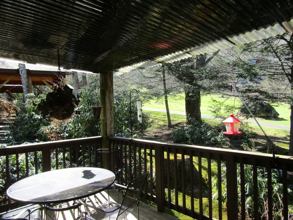 View from deck