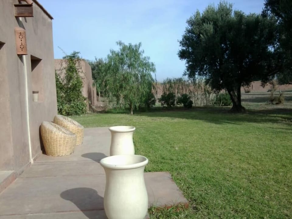 Garden, Park