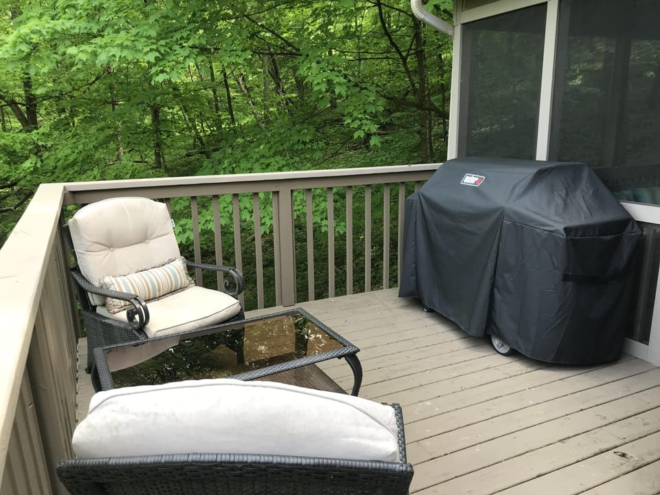 Outdoor Top Deck w/ Patio Furniture & Weber Grill
